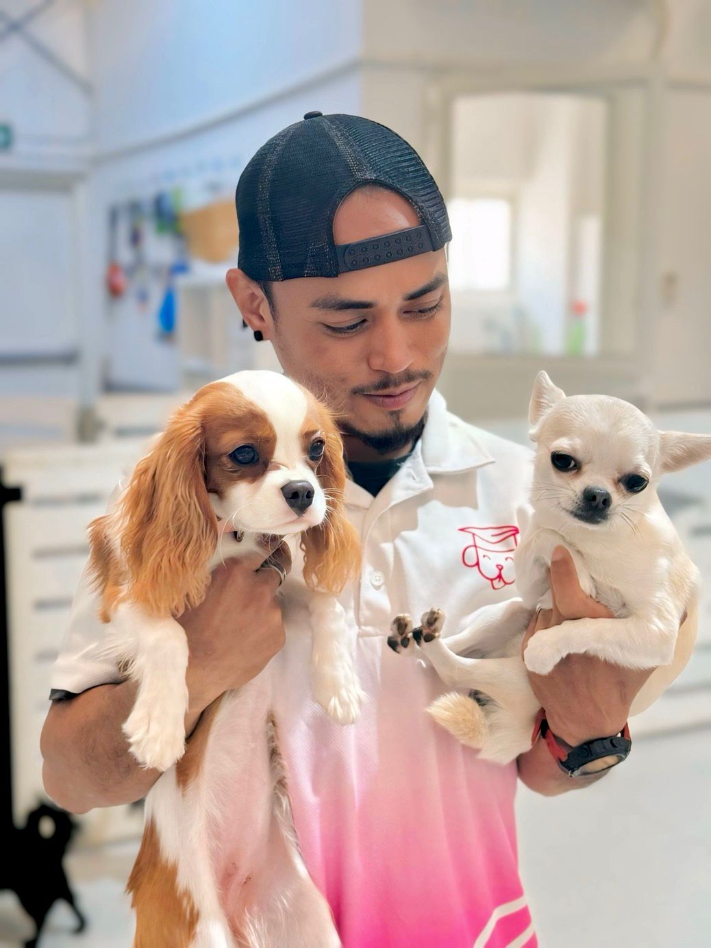 Professional pet groomers providing expert care in Dubai and Abu Dhabi