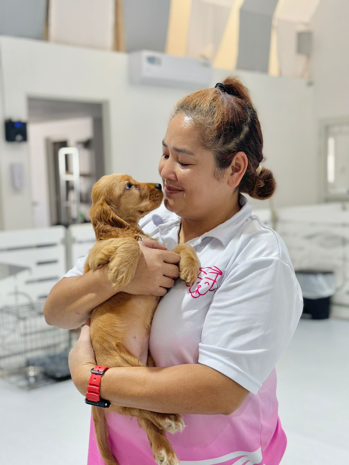 Full-service pet grooming options in Dubai and Abu Dhabi