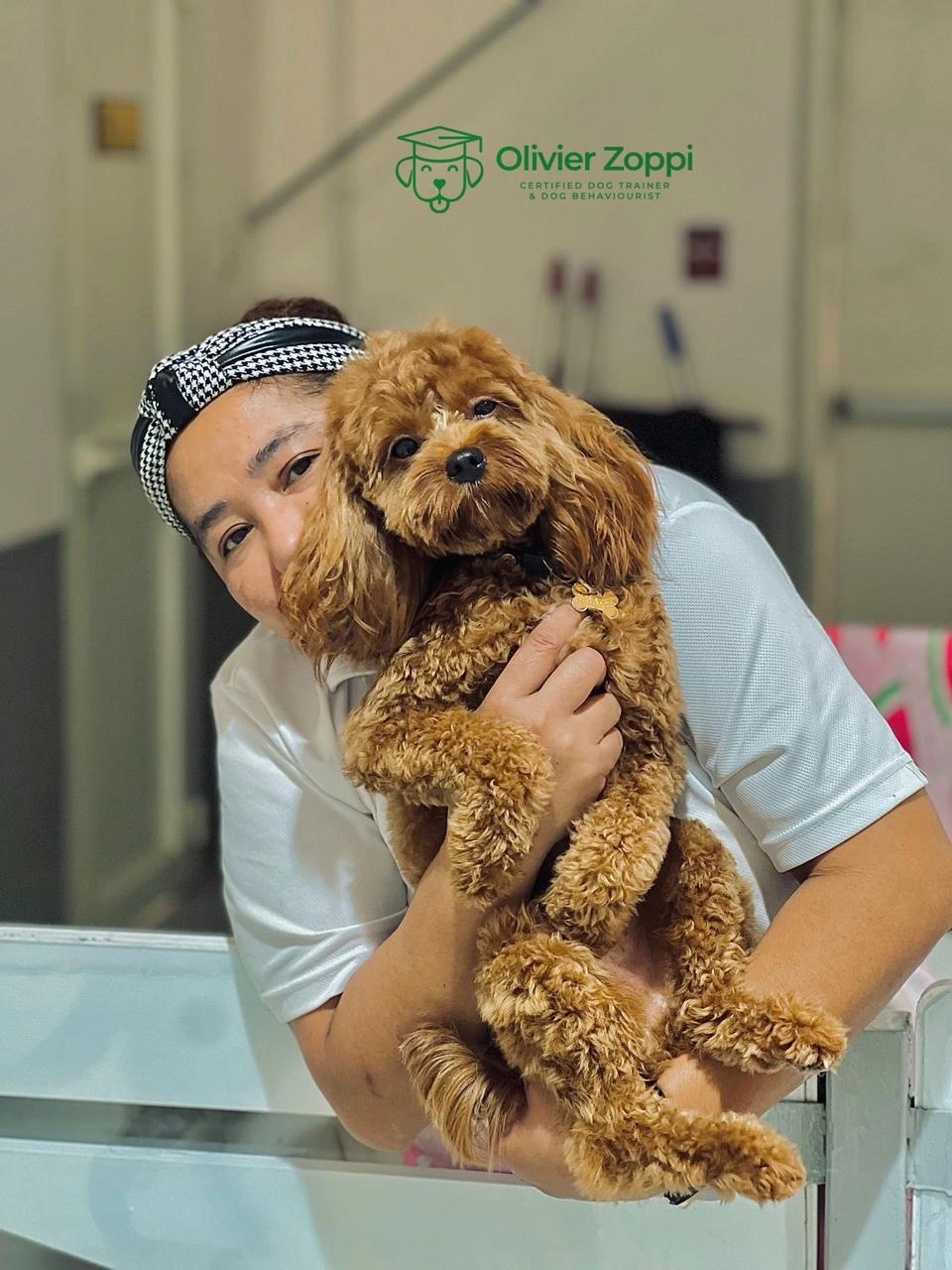 Professional pet grooming services in Dubai and Abu Dhabi