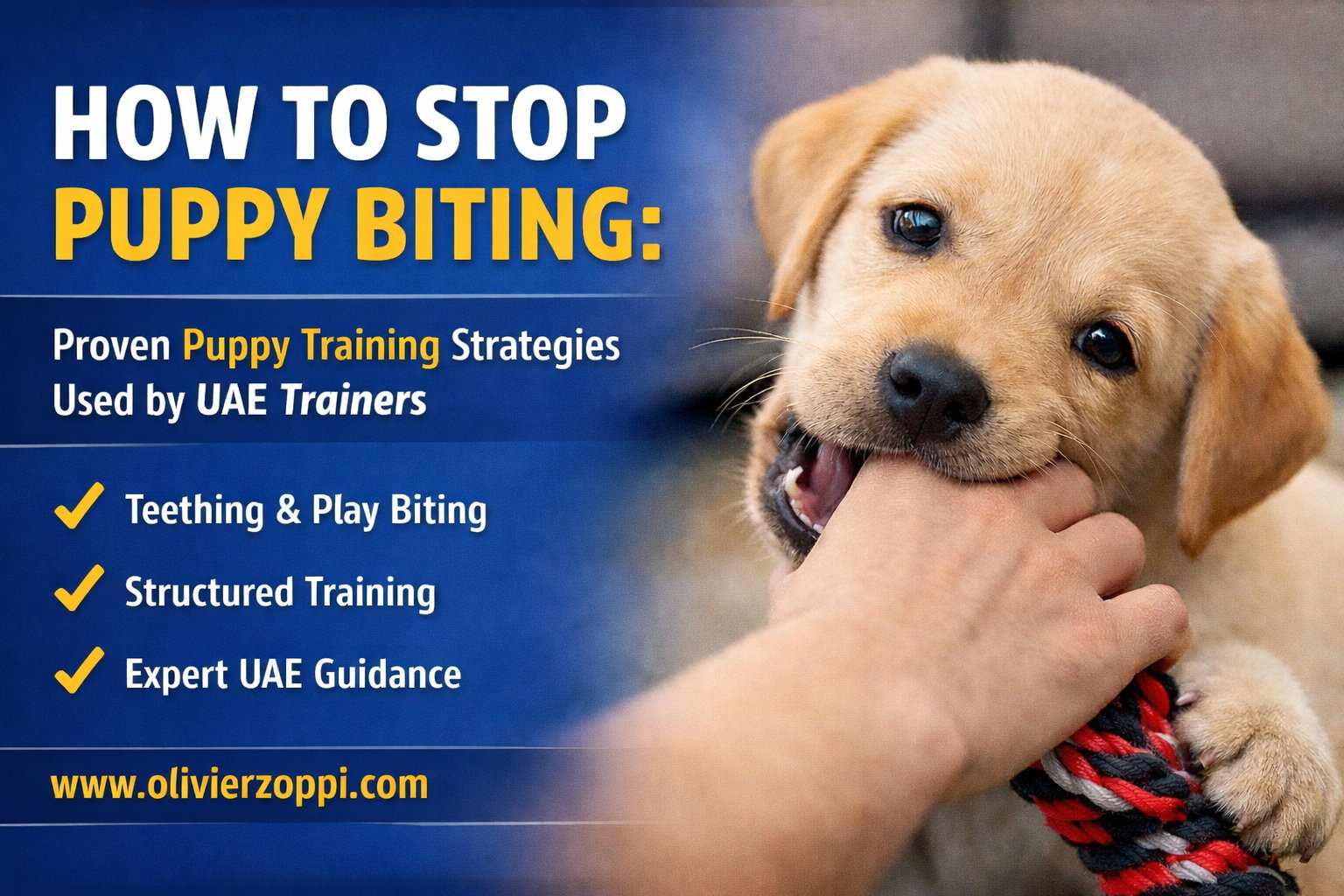 How to Stop Puppy Biting: Proven Puppy Training Strategies Used by UAE Trainers