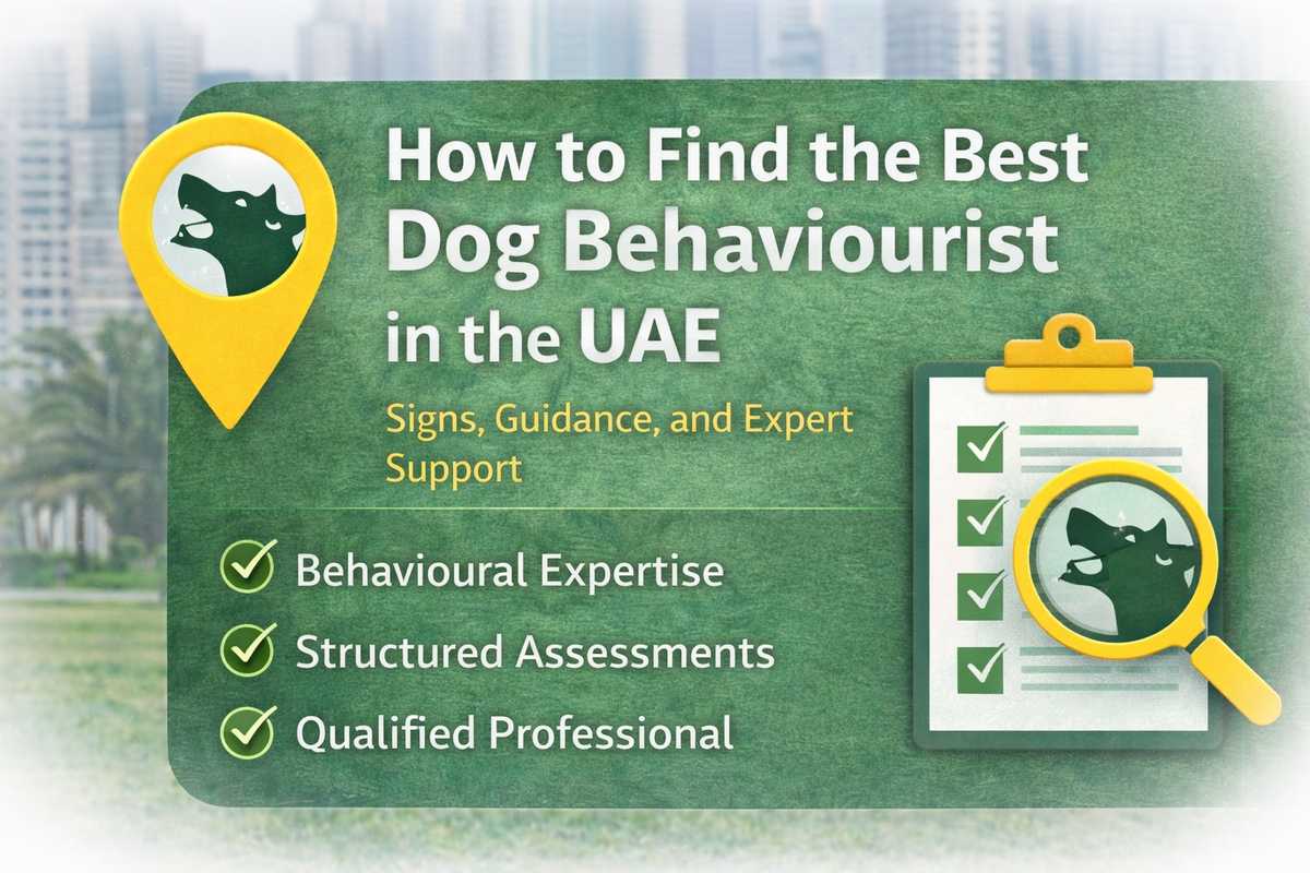 How to Find the Best Dog Behaviourist in the UAE